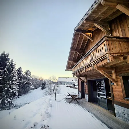 Alpehytte Paisible 3 Etoiles Sauna, Cheminee, Terrasse Sud, Vue Montagne, Bois & Pierre Authentique Et Confort Moderne La Bresse