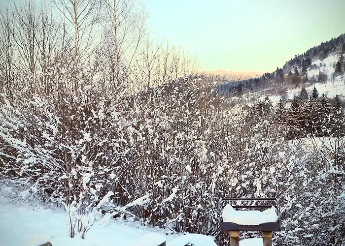 Paisible 3 Etoiles Sauna, Cheminee, Terrasse Sud, Vue Montagne, Bois & Pierre Authentique Et Confort Moderne * La Bresse